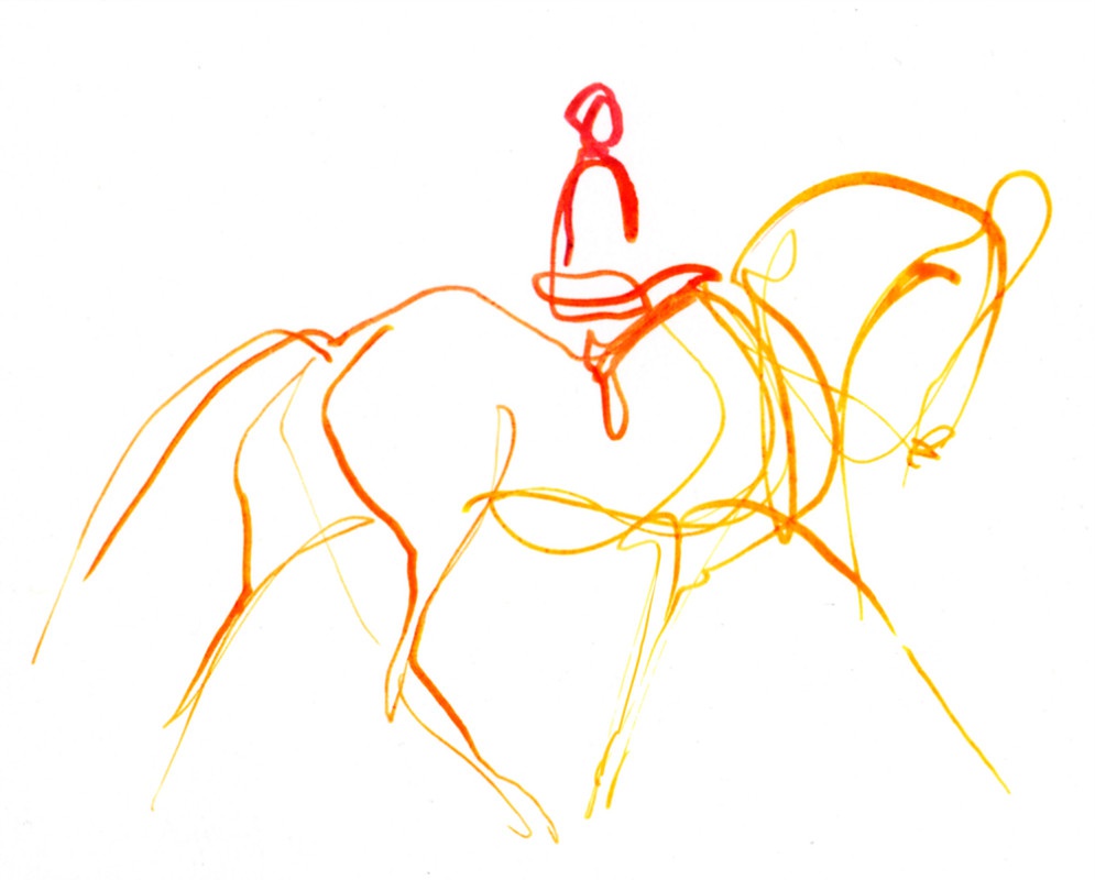 illustration marie laure manceaux cheval 5.jpg - Marie-Laure MANCEAUX | Virginie
